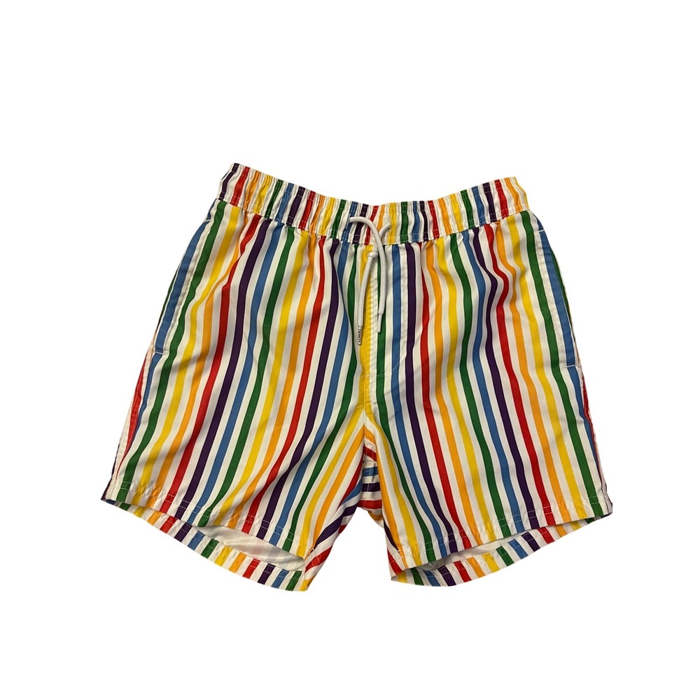 Trinity Collective Mens Rainbow Stripe Swim Trunks Multicolor Shorts Size Small